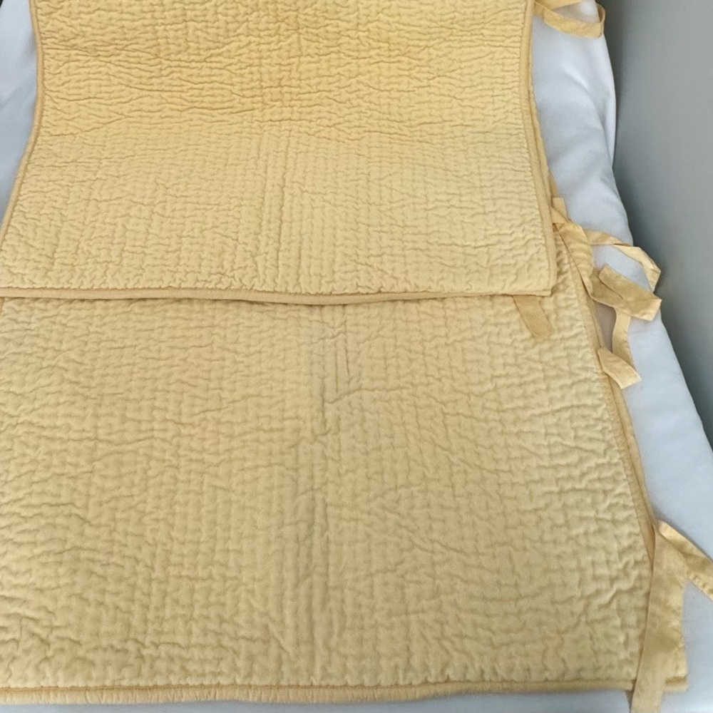 Pottery Barn Quilted Pillow Shams in Light Yellow (set of 2)